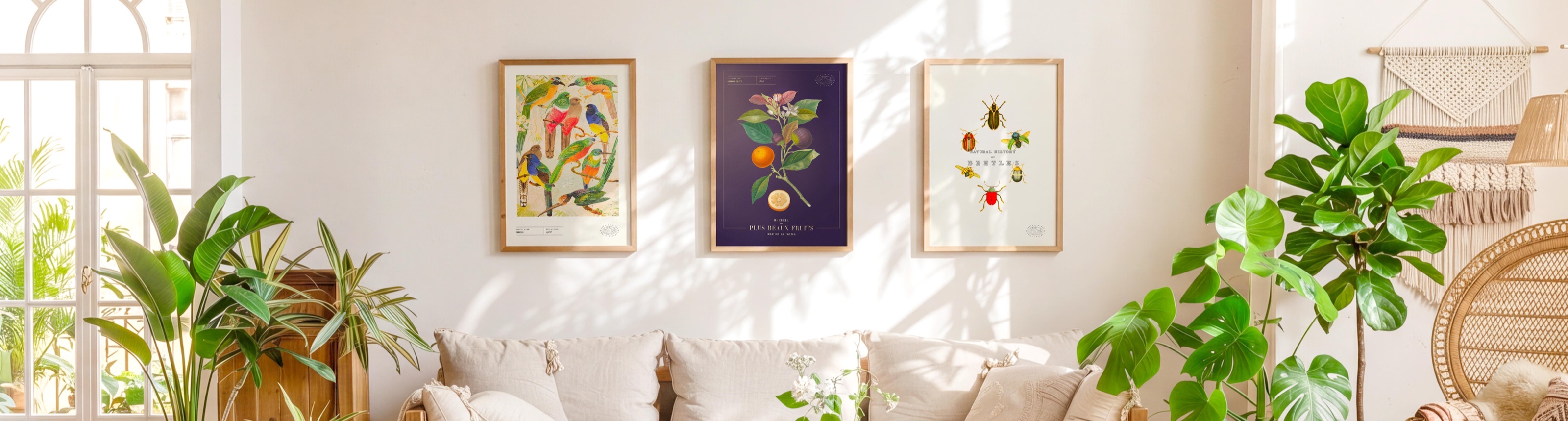 Salon lumineux : trois affiches Tabulae Vitae encadrées au-dessus d'un canapé, oiseaux, Bigarrade violette et coléoptères